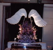 display